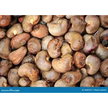 Fresh Raw Cashew Nuts